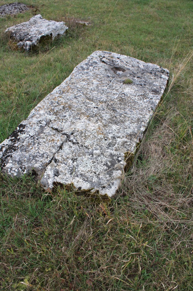 Prahistorijski tumulusi i nekropole sa stećcima u Luburića polju, historijsko područje
